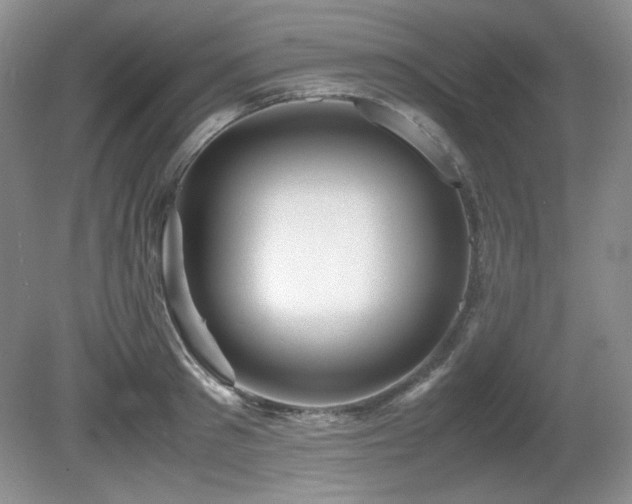 X0000081610897200701151402