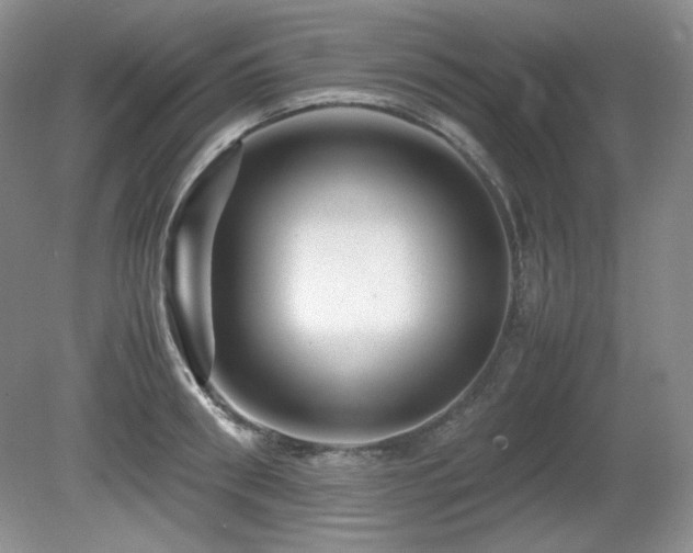 X0000081610898200701151402