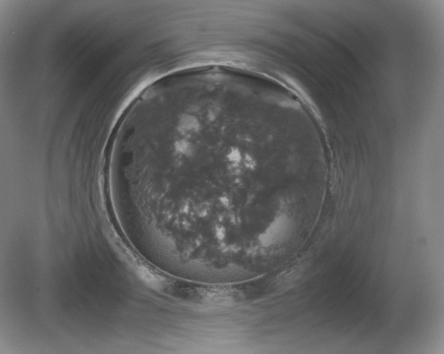 X0000081610899200701151402