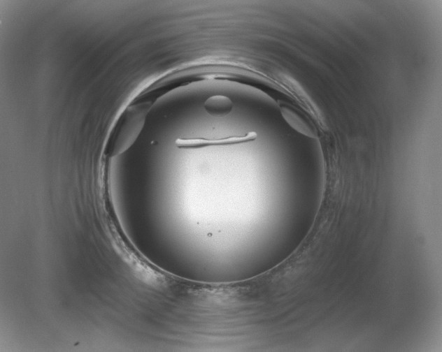 X0000081610900200701151402