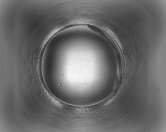 X0000081610901200701151402