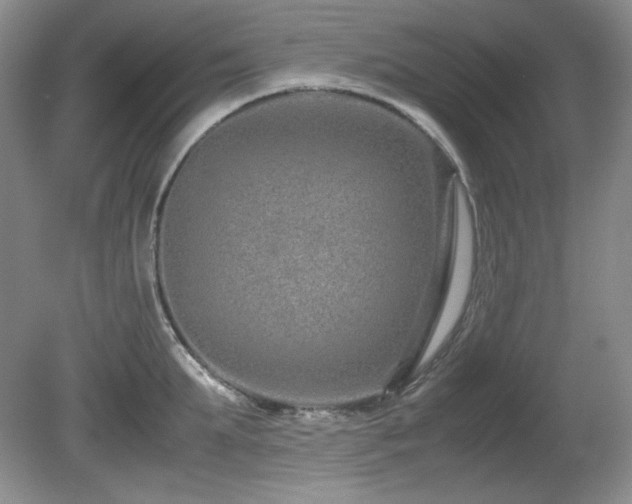 X0000081610903200701151402