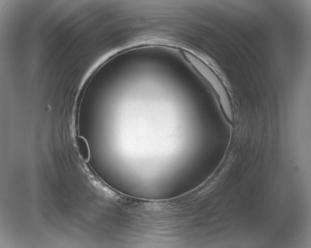 X0000081610904200701151402