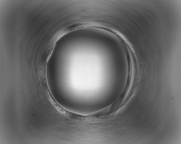 X0000081610905200701151402