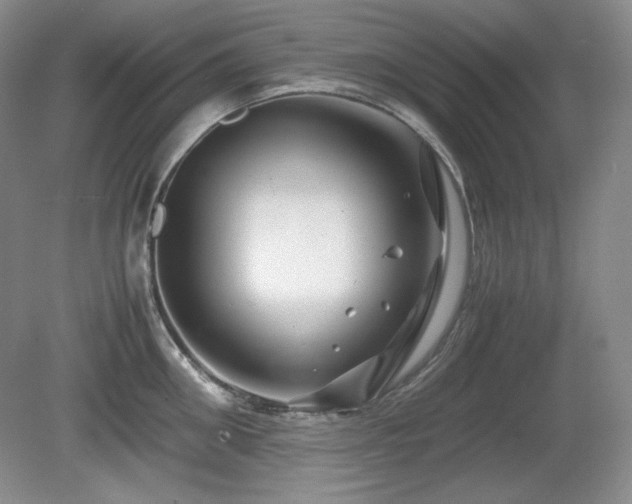 X0000081610906200701151402