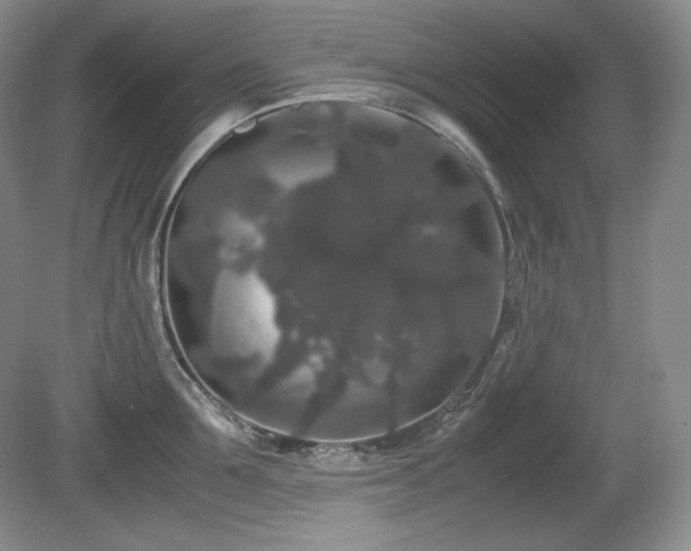 X0000081610907200701151402