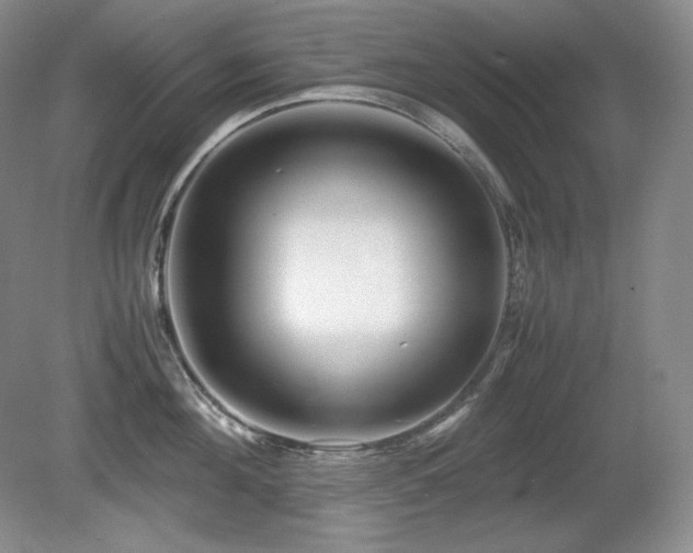 X0000081610908200701151402