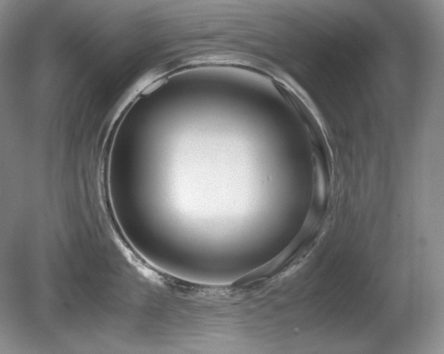 X0000081610909200701151402