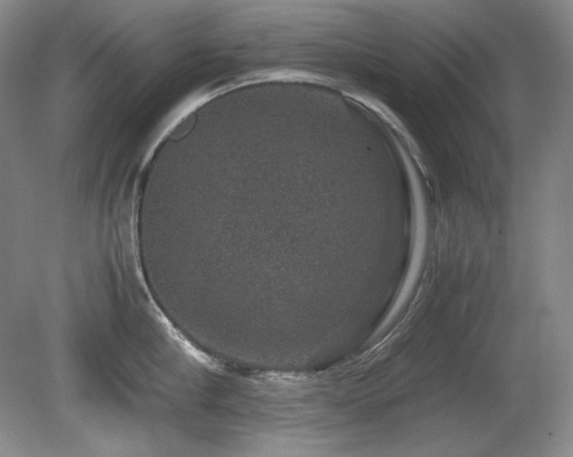 X0000081610910200701151402