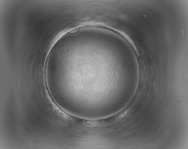 X0000081610911200701151402