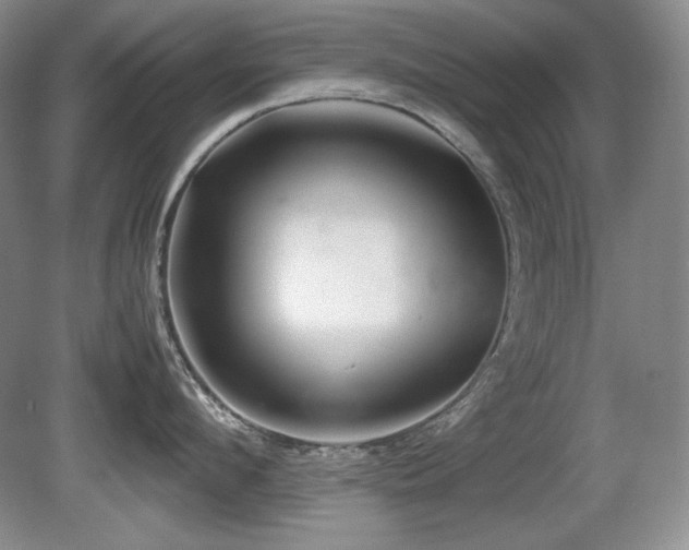 X0000081610912200701151402