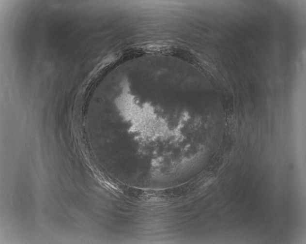 X0000081610913200701151401