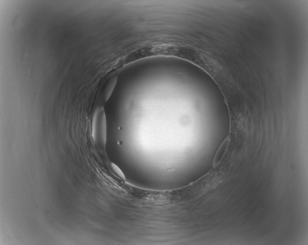 X0000081610914200701151401