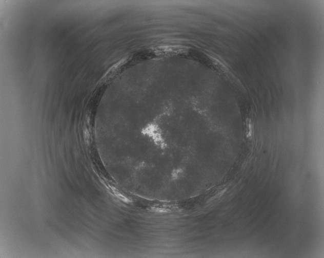 X0000081610915200701151401