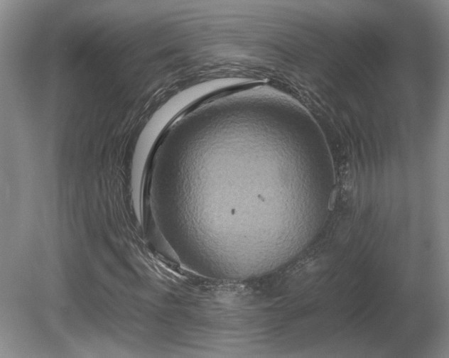 X0000081610916200701151401