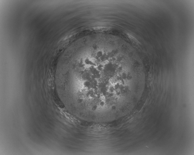 X0000081610917200701151401