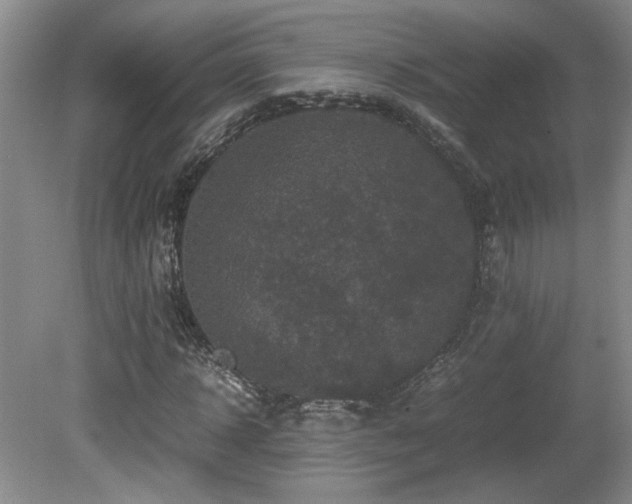 X0000081610918200701151401