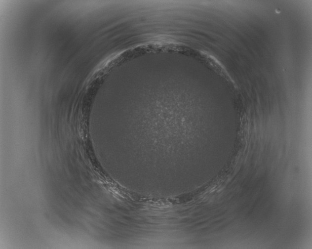 X0000081610919200701151401