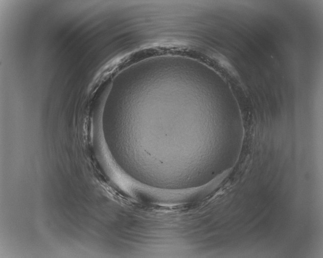 X0000081610920200701151401