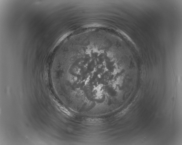 X0000081610921200701151401