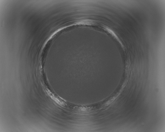 X0000081610923200701151401