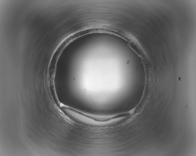 X0000081610924200701151401