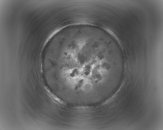 X0000081610925200701151401