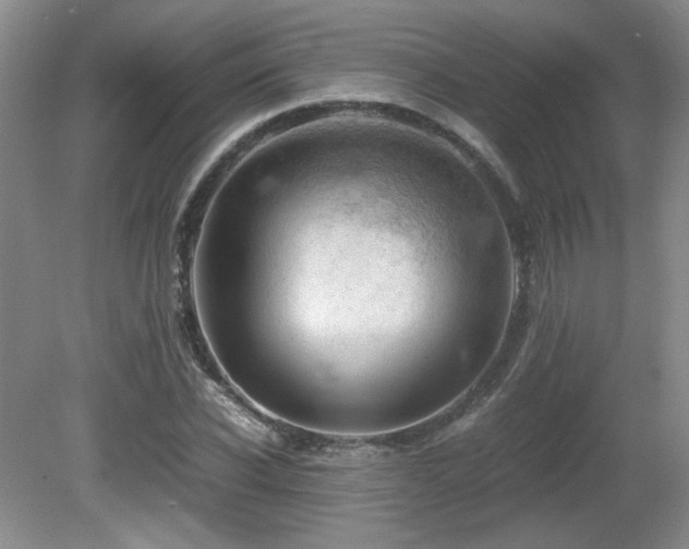 X0000081610926200701151401