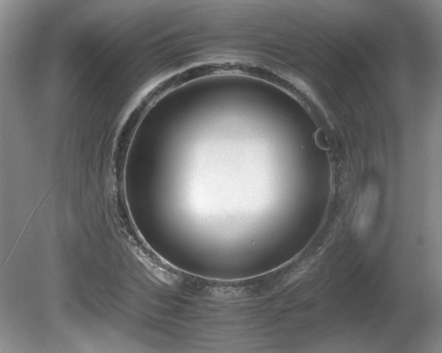 X0000081610927200701151401