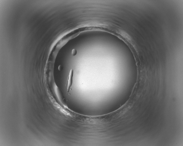 X0000081610928200701151401