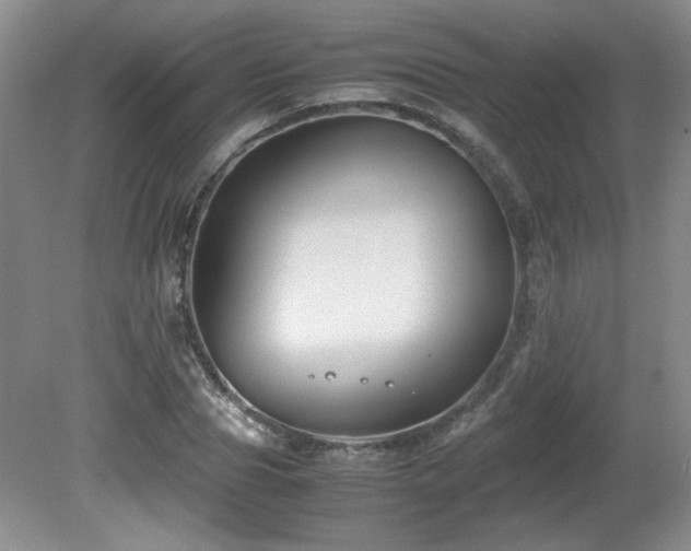 X0000081610929200701151401