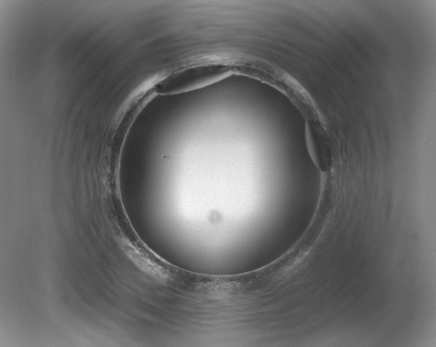 X0000081610930200701151401