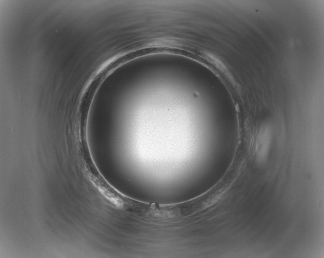 X0000081610931200701151401