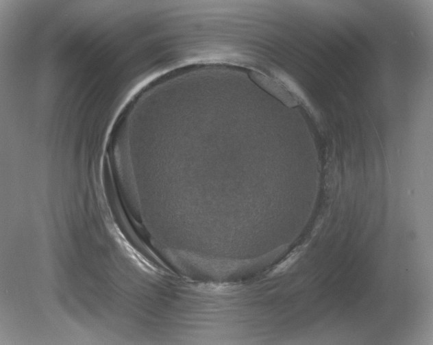 X0000081610932200701151401