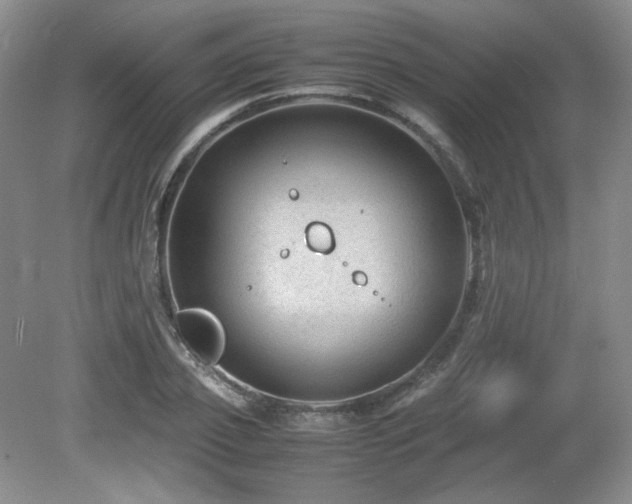 X0000081610933200701151401