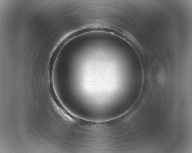 X0000081610934200701151401