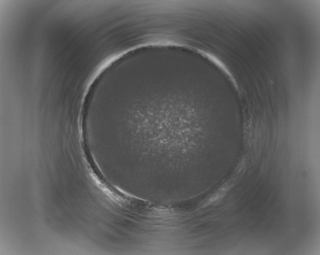 X0000081610935200701151401