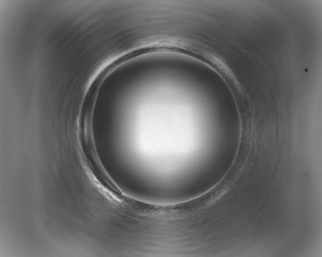 X0000081610936200701151401