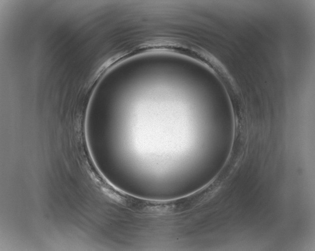 X0000081610937200701151401