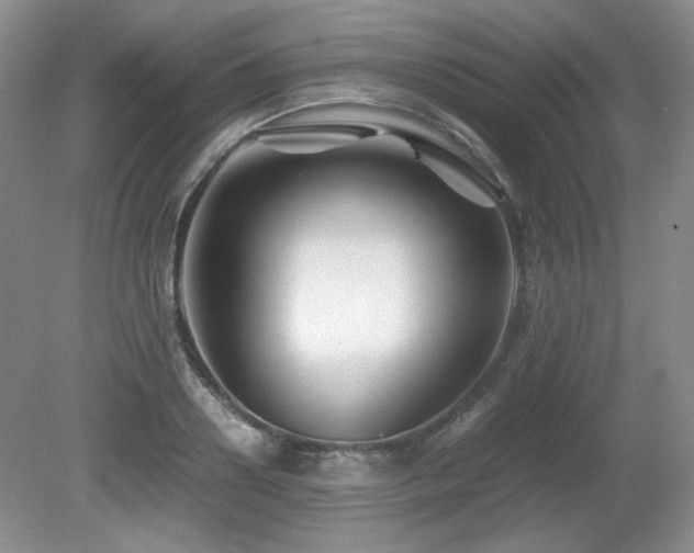 X0000081610938200701151401