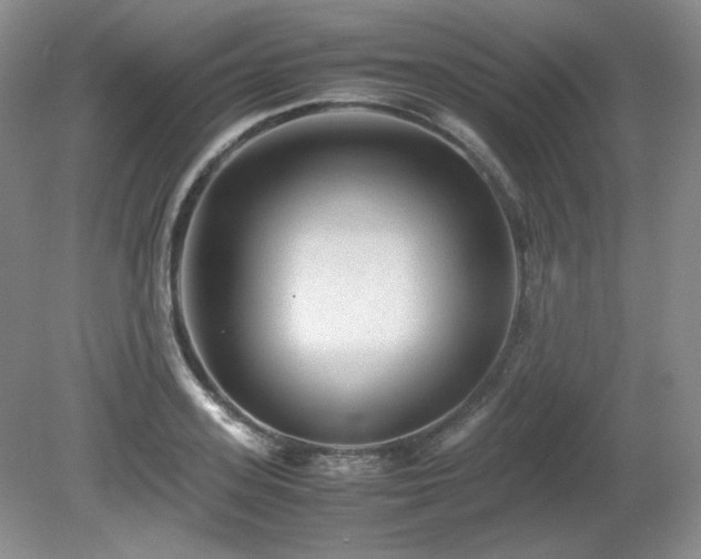 X0000081610939200701151401