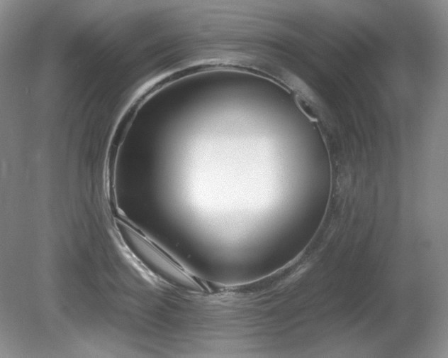 X0000081610940200701151401