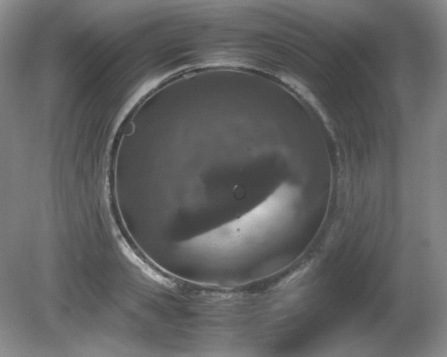 X0000081610941200701151401