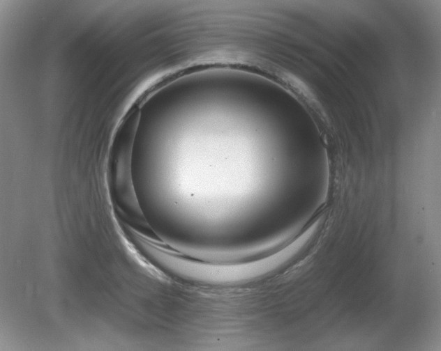 X0000081610942200701151401