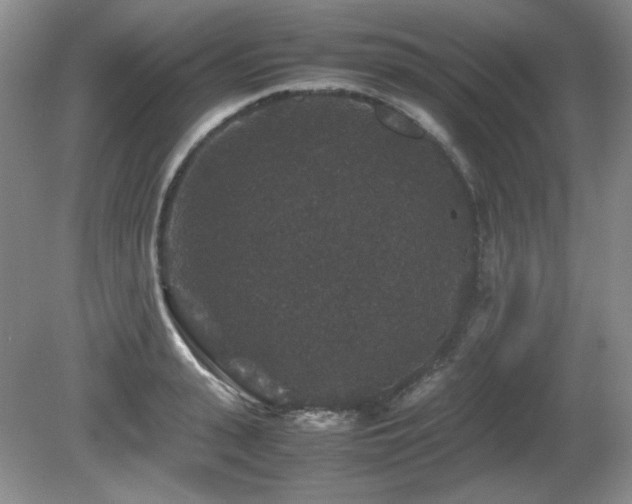 X0000081610943200701151401