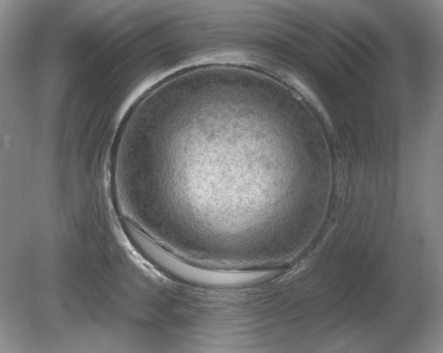 X0000081610944200701151402