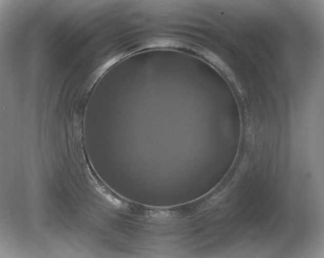 X0000081610945200701151402