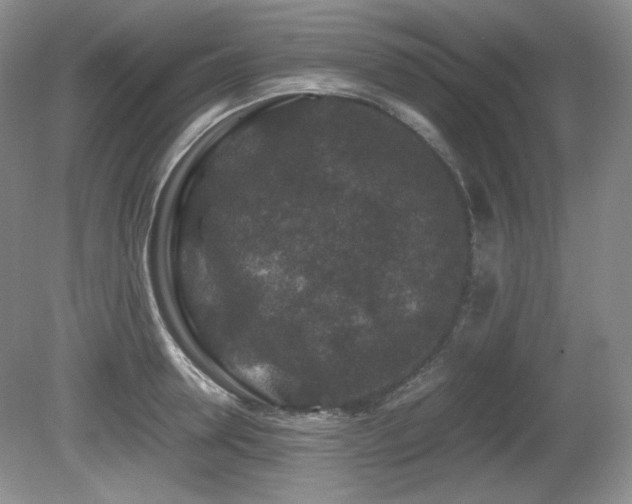 X0000081610946200701151402