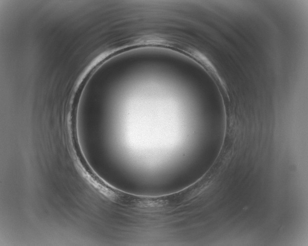 X0000081610947200701151402