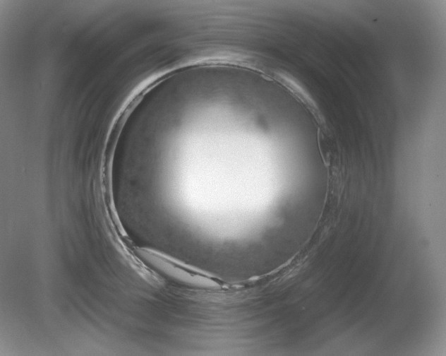 X0000081610948200701151402